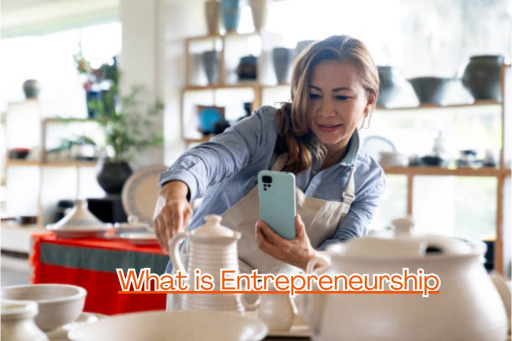 What is Entrepreneurship