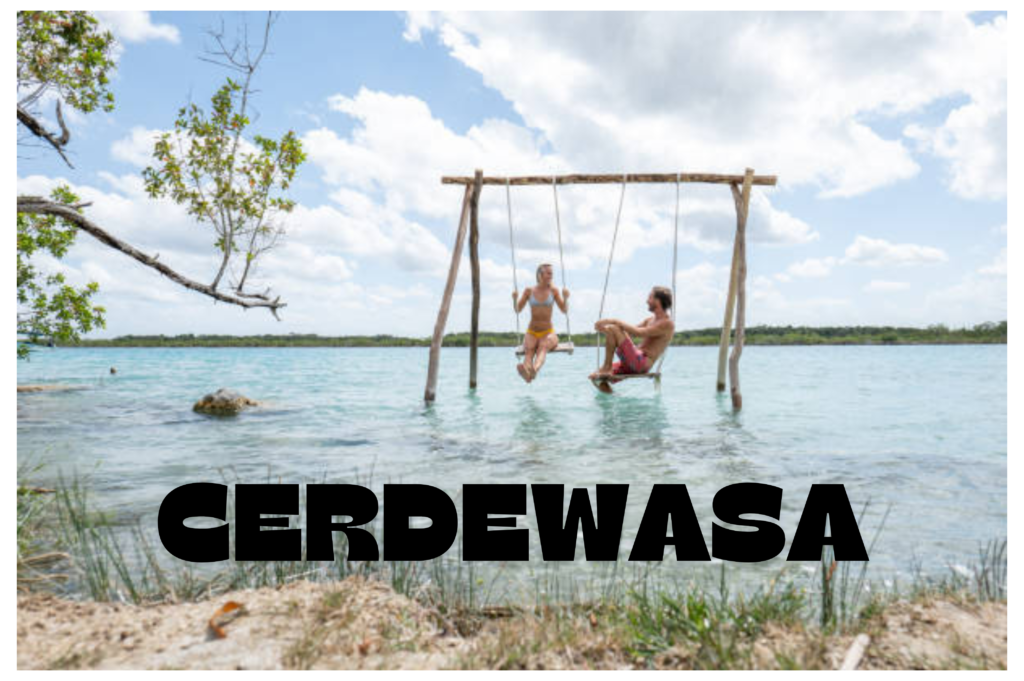 cerdewasa